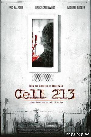 Камера 213 (2011)